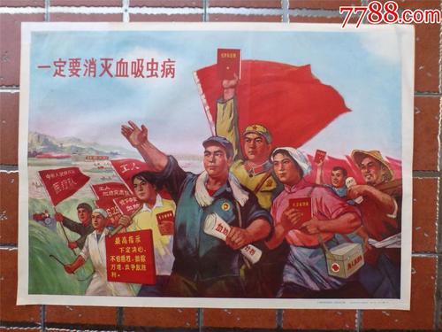 南十字星大学毕业证成绩单购买